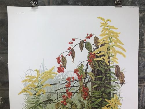 Art & Collectibles > Prints > Lithographs - Maryrose Wampler, Goldenrod, Signed Print, 28x22 Wall Art, Plate 13 by The Old...