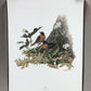 Art & Collectibles > Prints > Lithographs - Richard Sloan, Robin, Signed Print, 11x14, Essay, Sketches, Plate 9 by The Old...