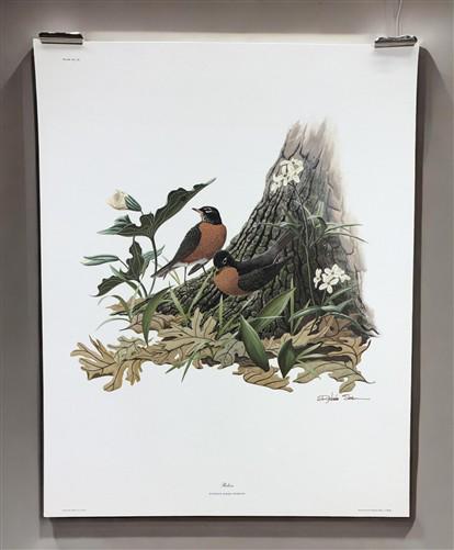 Art & Collectibles > Prints > Lithographs - Richard Sloan, Robin, Signed Print, 11x14, Essay, Sketches, Plate 9 by The Old...