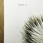 Art & Collectibles > Prints > Lithographs - Richard Timm, Striped Skunk, Signed Print, 28x22 Wade Collection, Plate 4 by T...