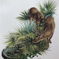 Art & Collectibles > Prints > Lithographs - Richard Timm, Florida Key Deer, Signed Print, 28x22 Wade Collection, Plate 15...