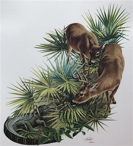Art & Collectibles > Prints > Lithographs - Richard Timm, Florida Key Deer, Signed Print, 28x22 Wade Collection, Plate 15...
