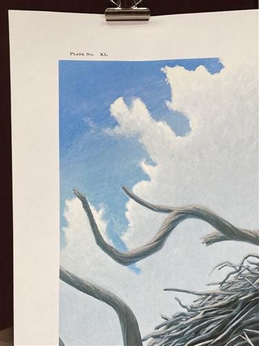 Art & Collectibles > Prints > Lithographs - Richard Sloan, Bald Eagle, Signed Print, 28x22, Wade Collection, Plate 40 by T...