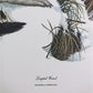 Art & Collectibles > Prints > Lithographs - Richard Timm, Longtail Weasel, Signed Print, 28x22 Wade Collection, Plate 37 b...