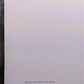 Art & Collectibles > Prints > Lithographs - Richard Sloan, Baltimore Oriole, Signed Print, 28x22, Wade Collection, Plate 1...