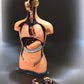 Craft Supplies & Tools > Tools & Equipment > Equipment & Machines - Sargent Welch Scientific Human Torso Cat No 95105, 3D...