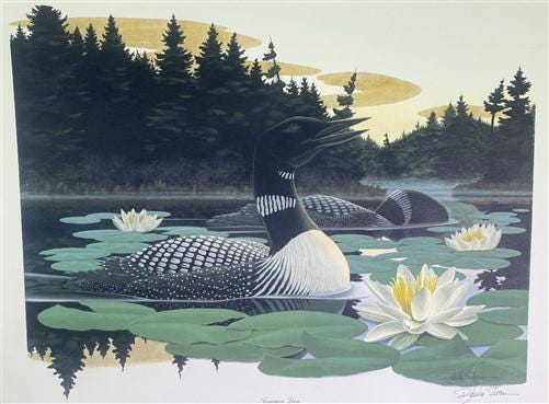 Art & Collectibles > Prints > Lithographs - Richard Sloan, Common Loon, Signed Print, 28x22, Wade Collection, Plate 29 by...