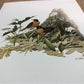 Art & Collectibles > Prints - 15 Miniature 4x5 Richard Sloan North American Bird Art Prints, Nature House A by The Old Gra...