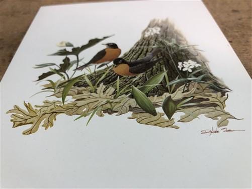 Art & Collectibles > Prints - 15 Miniature 4x5 Richard Sloan North American Bird Art Prints, Nature House A by The Old Gra...
