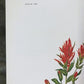 Maryrose Wampler, Paintbrush & Sagebrush, Signed Print, 28x22 Wall Art, Plate 25