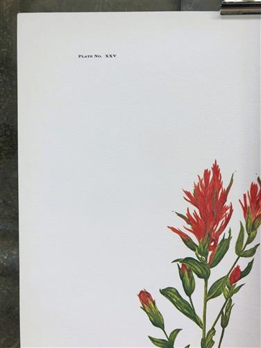 Maryrose Wampler, Paintbrush & Sagebrush, Signed Print, 28x22 Wall Art, Plate 25