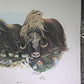 Art & Collectibles > Prints > Lithographs - Richard Timm, Musk Ox, Signed Print, 28x22 Wade Collection, Plate 40 by The Ol...