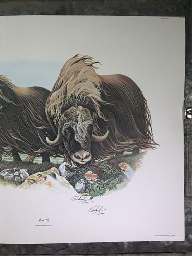 Art & Collectibles > Prints > Lithographs - Richard Timm, Musk Ox, Signed Print, 28x22 Wade Collection, Plate 40 by The Ol...
