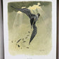 Art & Collectibles > Prints > Lithographs - Richard Sloan, Peregrine Falcon, Signed Print, 11x14, Essay, Sketches, Plate 1...