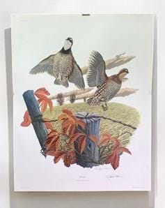 Art & Collectibles > Prints > Lithographs - Richard Sloan, Bobwhite, Signed Print, 28x22, Wade Collection, Plate 21 by The...