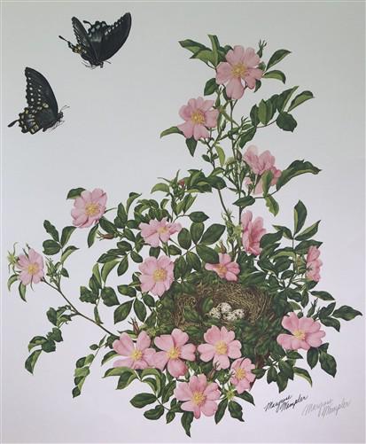 Art & Collectibles > Prints > Lithographs - Maryrose Wampler, Wild Rose, Signed Print, 28x22 Wall Art, Plate 22 by The Old...