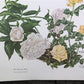 Maryrose Wampler, Peace Rose and Peony, Signed Print, 28x22 Wall Art, Plate 17