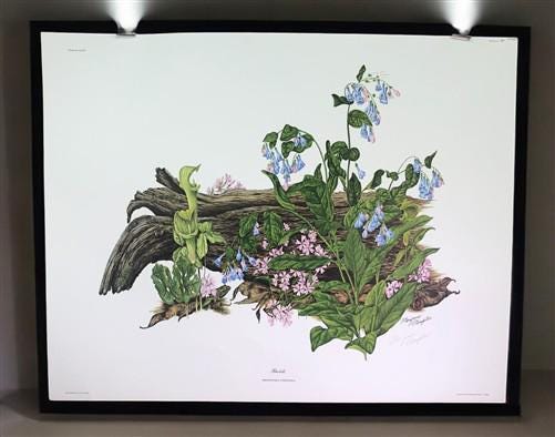 Art & Collectibles > Prints > Lithographs - Maryrose Wampler, Bluebells, Signed Print, 28x22 Wall Art, Plate 27 by The Old...