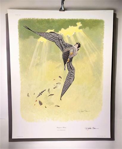 Richard Sloan, Peregrine Falcon, Signed Print, 28x22, Wade Collection, Plate 14