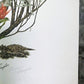 Maryrose Wampler, Paintbrush & Sagebrush, Signed Print, 28x22 Wall Art, Plate 25