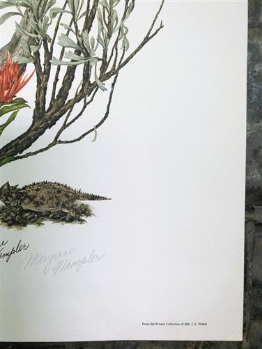 Maryrose Wampler, Paintbrush & Sagebrush, Signed Print, 28x22 Wall Art, Plate 25