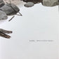 Art & Collectibles > Prints - Axel Amuchastegui, Peccary, 20.75x14 South American Wildlife Art Print M by The Old Grainery...