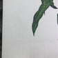 Art & Collectibles > Prints > Lithographs - Maryrose Wampler, Thistle, Signed Print, 28x22 Wall Art, Plate 28 by The Old G...