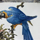Art & Collectibles > Prints - Axel Amuchastegui, Blue and Yellow Macaw, 20.75x14 South American Bird Print G by The Old Gr...