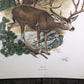 Art & Collectibles > Prints > Lithographs - Richard Timm, Mule Deer, Signed Print, 28x22 Wade Collection, Plate 32 by The...