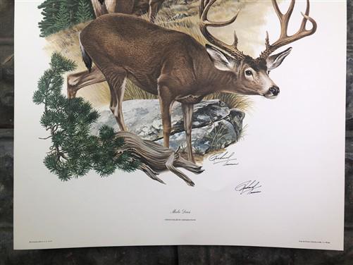 Art & Collectibles > Prints > Lithographs - Richard Timm, Mule Deer, Signed Print, 28x22 Wade Collection, Plate 32 by The...