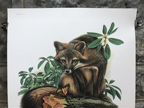 Art & Collectibles > Prints > Lithographs - Richard Timm, Gray Fox, Signed Print, 28x22 Wade Collection, Plate 19 by The O...