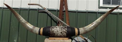 Home & Living > Home Decor > Wall Decor > Wall Hangings - 4'11" Longhorn Mounted Cattle Horns Steer Bull Western Texas Ran...
