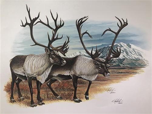 Art & Collectibles > Prints > Lithographs - Richard Timm, Ground Caribou, Signed Print, 28x22 Wade Collection, Plate 36 by...