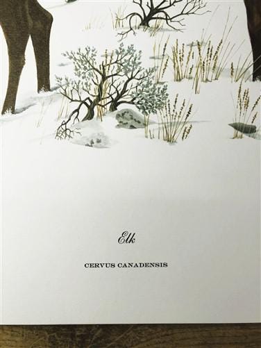 Art & Collectibles > Prints > Lithographs - Richard Timm, Elk, Signed Print, 28x22 Wade Collection, Plate 3 by The Old Gra...