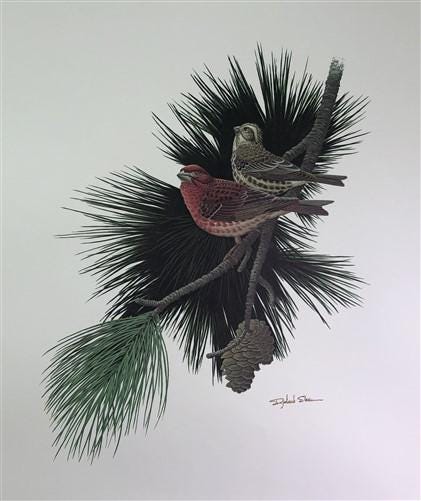 Art & Collectibles > Prints > Lithographs - Richard Sloan, Purple Finch, Signed Print, 28x22, Wade Collection, Plate 47 by...