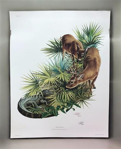 Art & Collectibles > Prints > Lithographs - Richard Timm, Florida Key Deer, Signed Print, 28x22 Wade Collection, Plate 15...