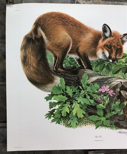 Art & Collectibles > Prints > Lithographs - Richard Timm, Red Fox, Signed Prints, 28x22 Wade Collection, Plate 1 by The Ol...