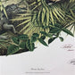 Art & Collectibles > Prints > Lithographs - Richard Timm, Florida Key Deer, Signed Print, 28x22 Wade Collection, Plate 15...