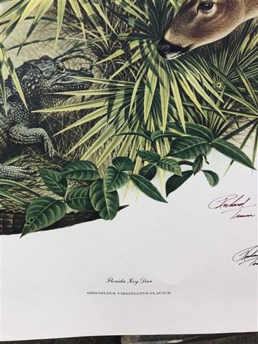 Art & Collectibles > Prints > Lithographs - Richard Timm, Florida Key Deer, Signed Print, 28x22 Wade Collection, Plate 15...