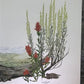 Maryrose Wampler, Paintbrush & Sagebrush, Signed Print, 28x22 Wall Art, Plate 25