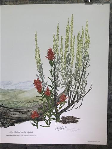 Maryrose Wampler, Paintbrush & Sagebrush, Signed Print, 28x22 Wall Art, Plate 25