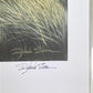 Art & Collectibles > Prints > Lithographs - Richard Sloan, Prairie Falcon, Signed Print, 28x22, Wade Collection, Plate 33...