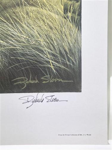 Art & Collectibles > Prints > Lithographs - Richard Sloan, Prairie Falcon, Signed Print, 28x22, Wade Collection, Plate 33...