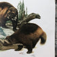 Art & Collectibles > Prints > Lithographs - Richard Timm, Wolverine, Signed Print, 28x22 Wade Collection, Plate 14 by The...