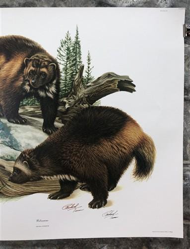 Art & Collectibles > Prints > Lithographs - Richard Timm, Wolverine, Signed Print, 28x22 Wade Collection, Plate 14 by The...