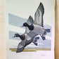 Art & Collectibles > Prints > Lithographs - Richard Sloan, Lesser Scaup, Signed Print, 28x22, Wade Collection, Plate 49 by...