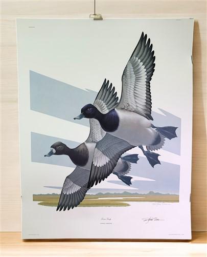 Art & Collectibles > Prints > Lithographs - Richard Sloan, Lesser Scaup, Signed Print, 28x22, Wade Collection, Plate 49 by...