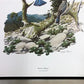 Richard Sloan, Mountain Bluebird, Signed Print, 11x14, Essay, Sketches, Plate 10