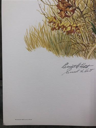 Art & Collectibles > Prints > Lithographs - Ernest Hart, English Pointer, Signed Dog Print, 28x22, Wade Collection, Plate...