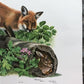 Art & Collectibles > Prints > Lithographs - Richard Timm, Red Fox, Signed Prints, 28x22 Wade Collection, Plate 1 by The Ol...